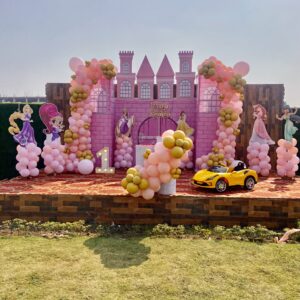 Princess theme balloon decoration in raipur